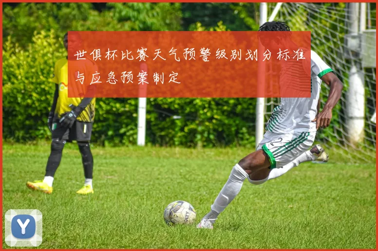 世俱杯比赛天气预警级别划分标准与应急预案制定