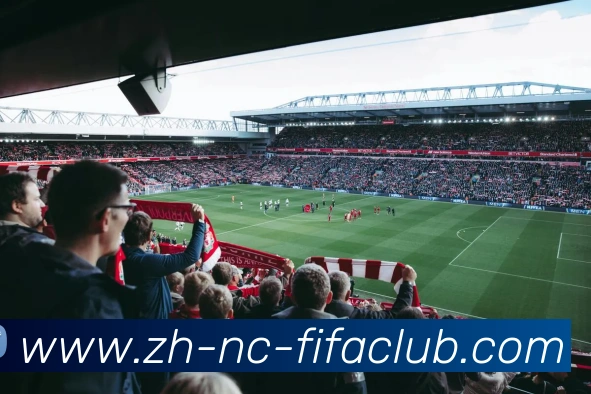 世界杯直播品牌故事